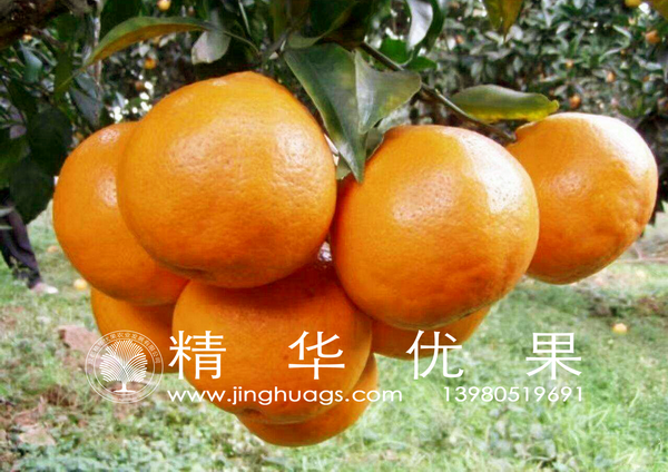 明日见